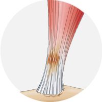 detail_BTL-6000RSWT_08