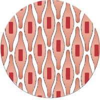 detail_BTL-6000RSWT_09