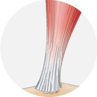 detail_BTL-6000RSWT_10